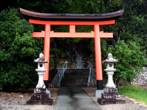 Torii